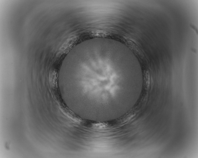 X0000102820511200808181249