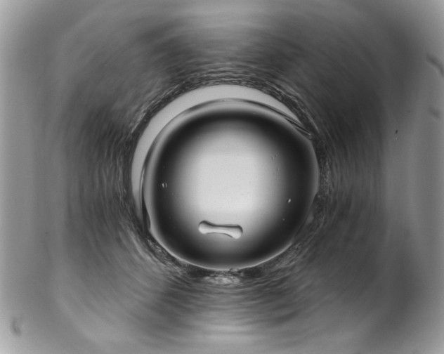 X0000102820512200808181249