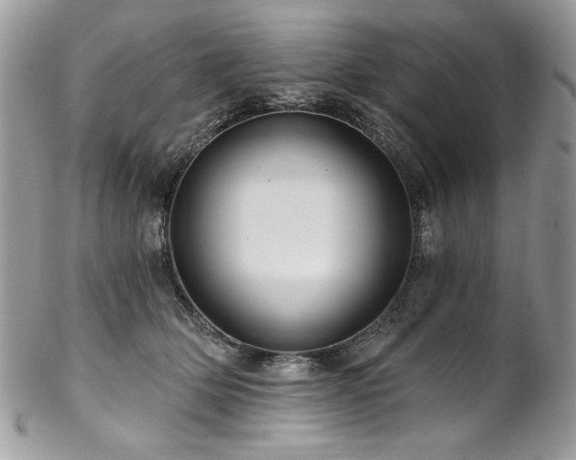 X0000102820514200808181249