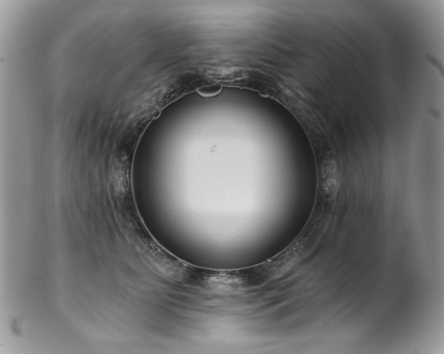 X0000102820515200808181249