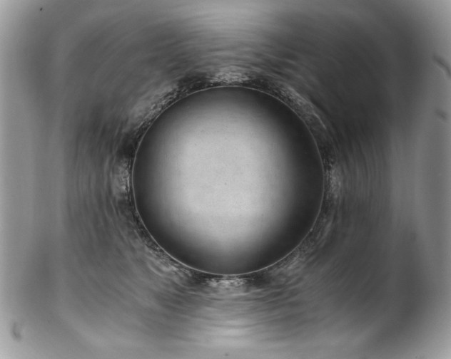 X0000102820517200808181249