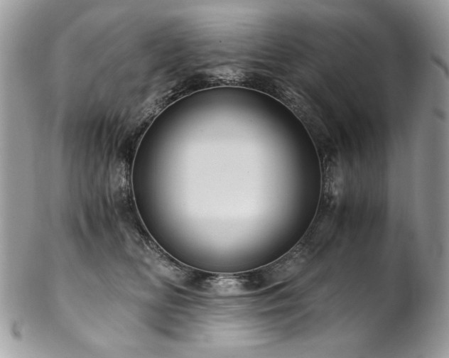 X0000102820518200808181249