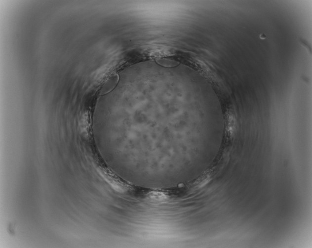 X0000102820519200808181249