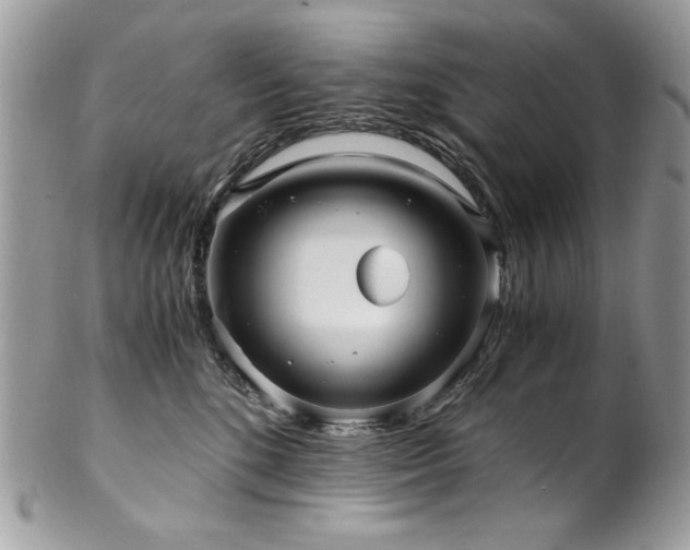 X0000102820520200808181249