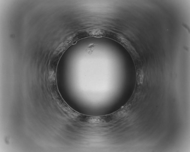 X0000102820521200808181249