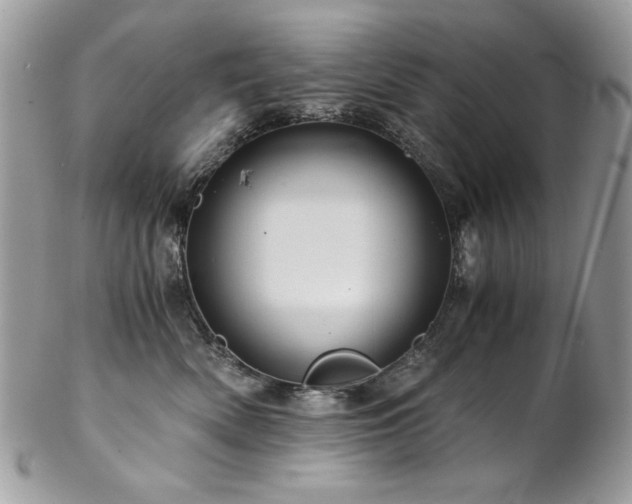 X0000102820522200808181249