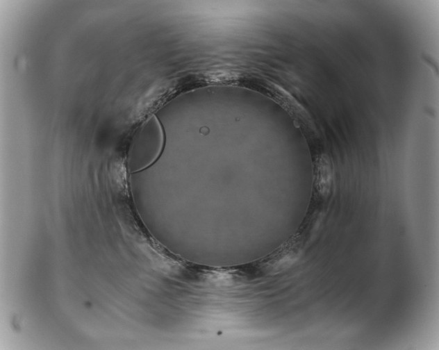 X0000102820523200808181249