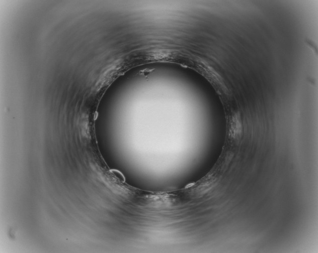 X0000102820524200808181249