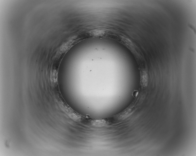 X0000102820525200808181249
