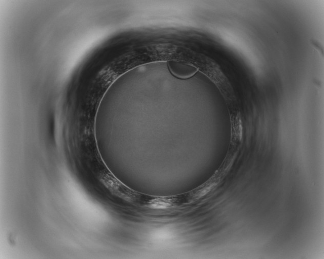 X0000102820526200808181249