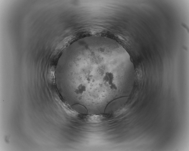 X0000102820527200808181249