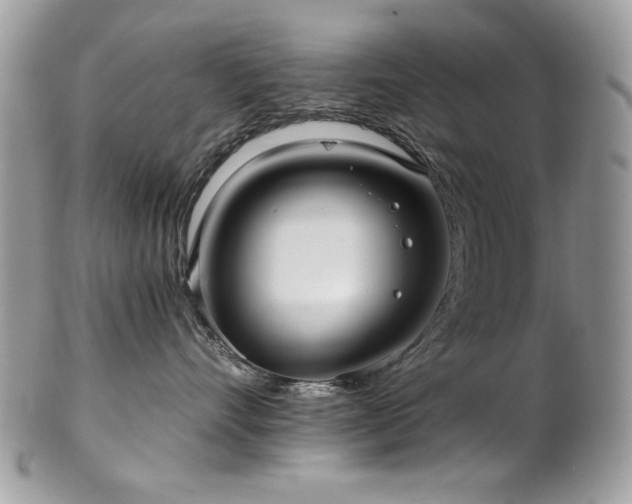 X0000102820528200808181249
