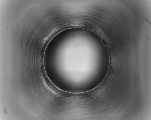 X0000102820530200808181248