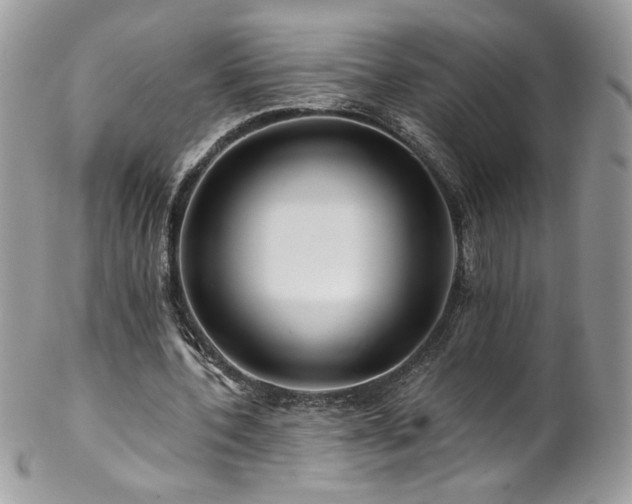 X0000102820532200808181248
