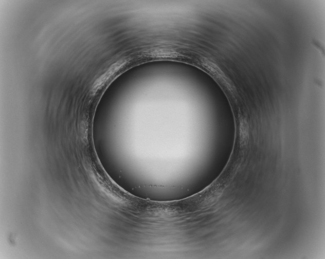 X0000102820533200808181248