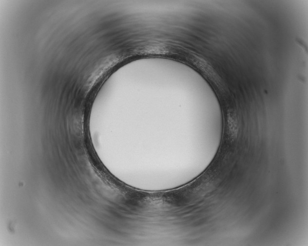 X0000102820534200808181248