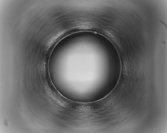 X0000102820535200808181248