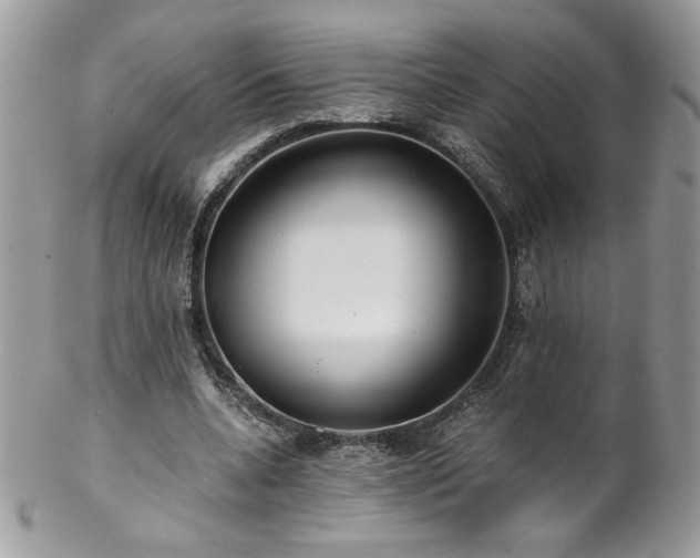 X0000102820536200808181248