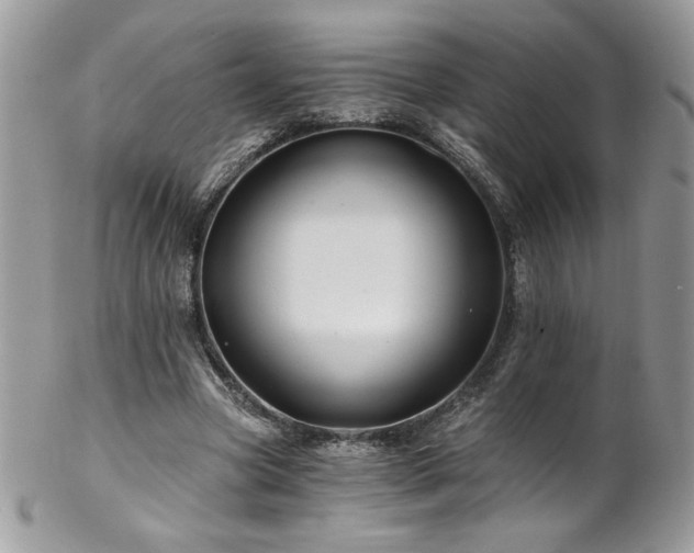 X0000102820537200808181248