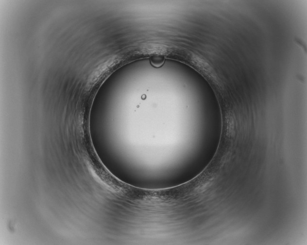 X0000102820538200808181248