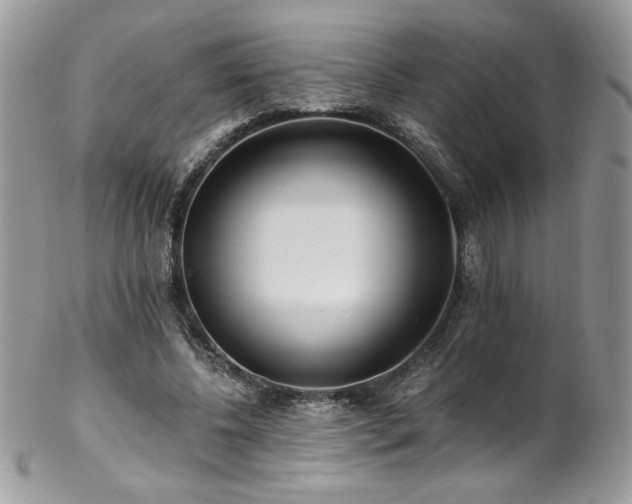 X0000102820540200808181248
