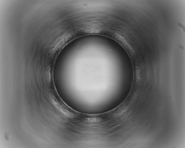X0000102820541200808181248