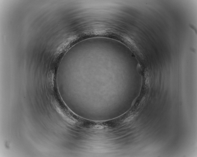 X0000102820542200808181248
