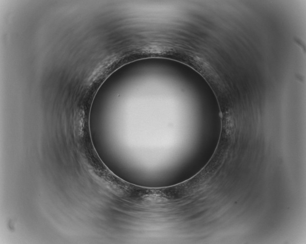X0000102820544200808181248