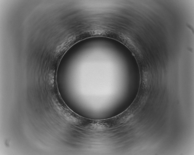 X0000102820545200808181248