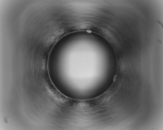 X0000102820546200808181248