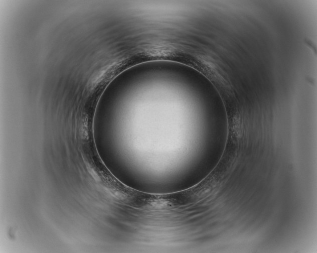 X0000102820547200808181248