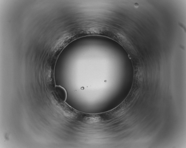 X0000102820548200808181248