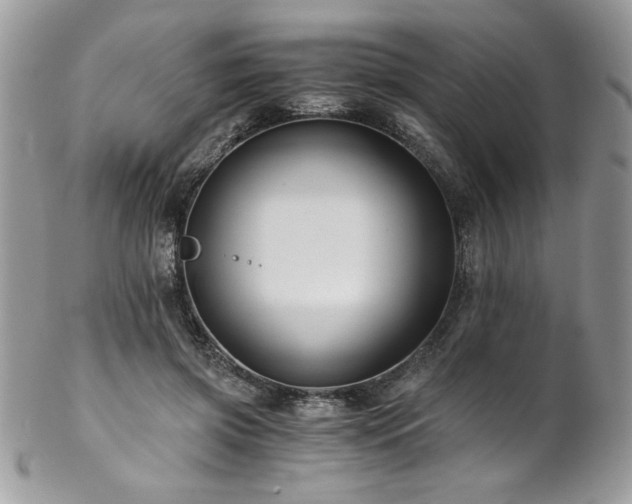 X0000102820549200808181248