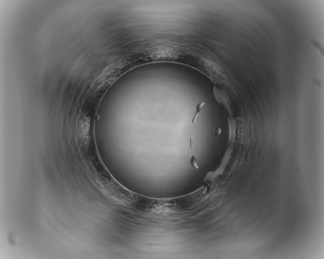 X0000102820550200808181248