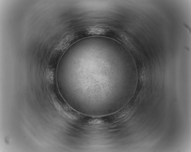 X0000102820551200808181248