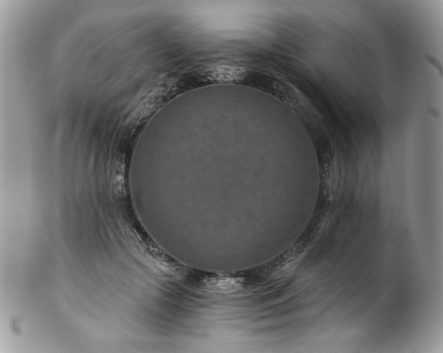 X0000102820553200808181248