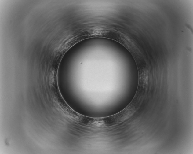 X0000102820554200808181248