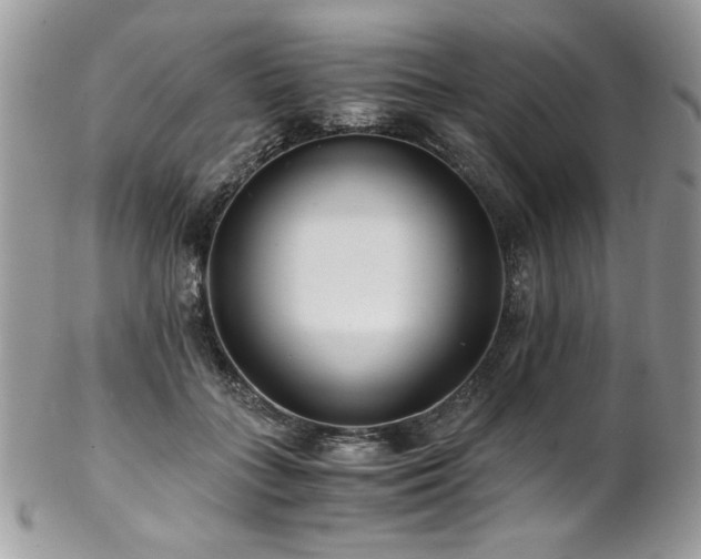 X0000102820555200808181248