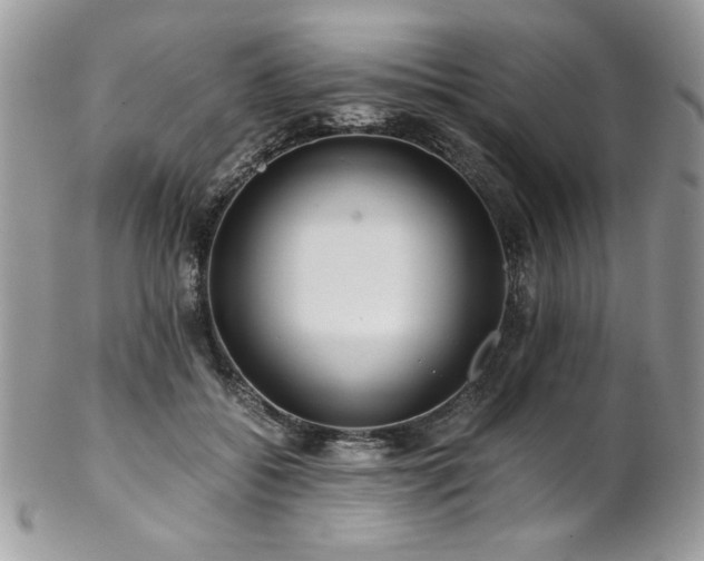 X0000102820556200808181248