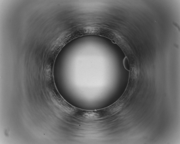 X0000102820557200808181248