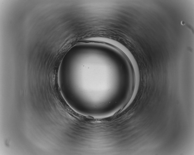 X0000102820558200808181248