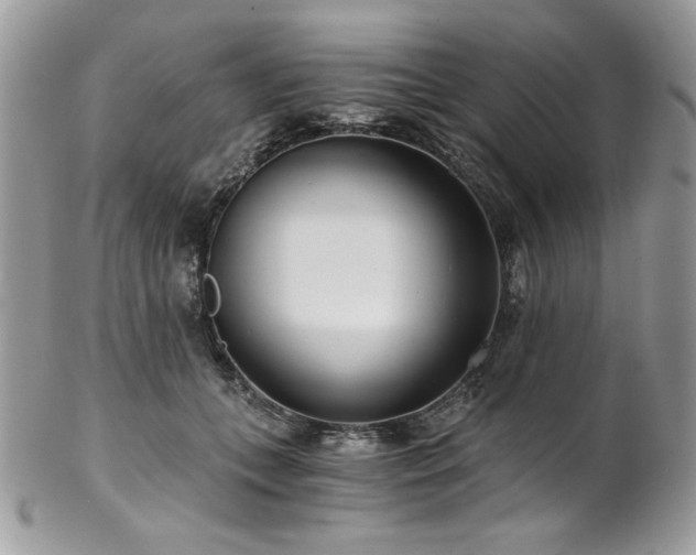 X0000102820559200808181248