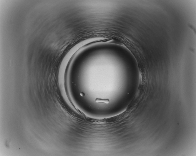 X0000102820560200808181248