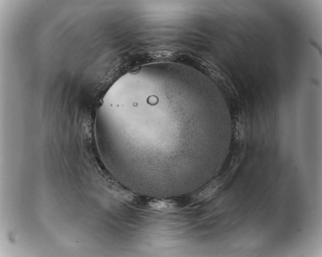 X0000102820561200808181248