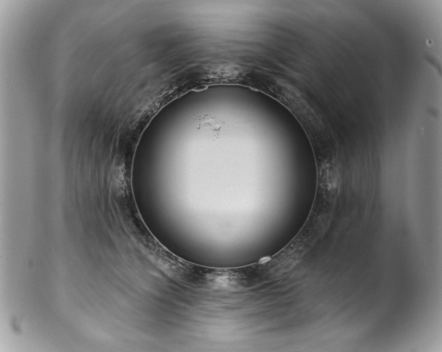 X0000102820564200808181248