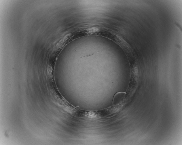 X0000102820565200808181248
