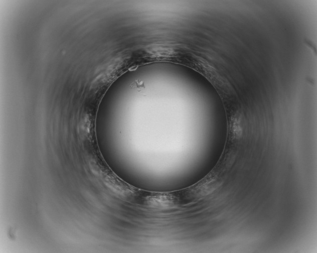 X0000102820567200808181248