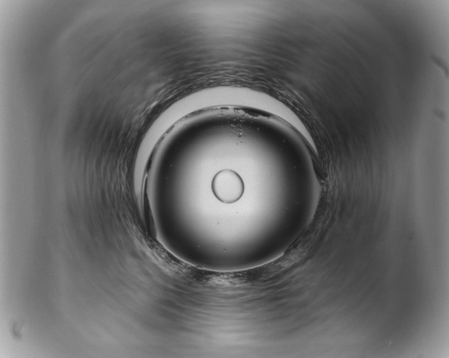 X0000102820568200808181248