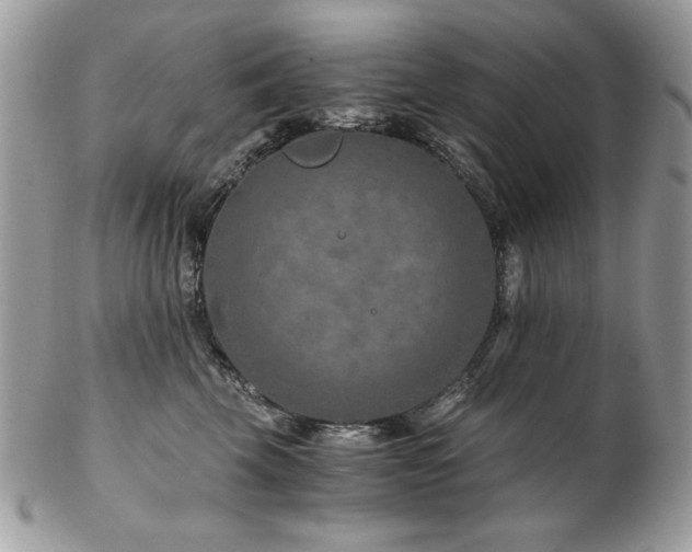 X0000102820569200808181248