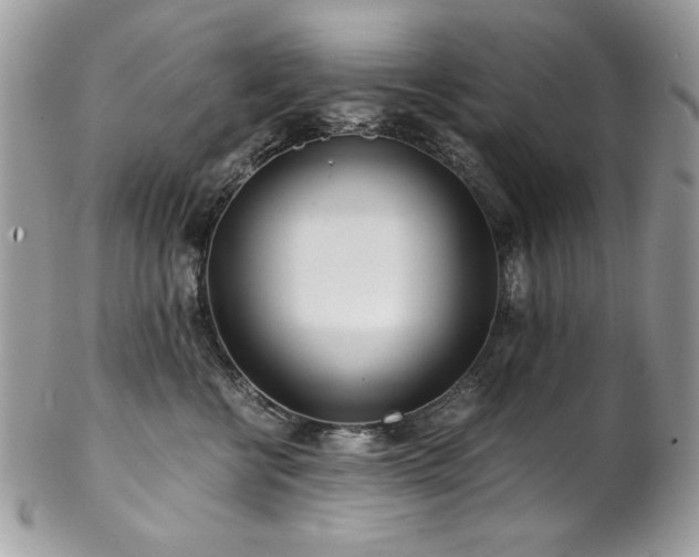 X0000102820570200808181248